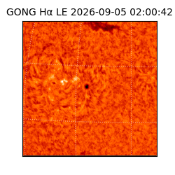 gong - 2026-09-05T02:00:42