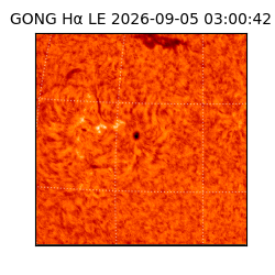 gong - 2026-09-05T03:00:42