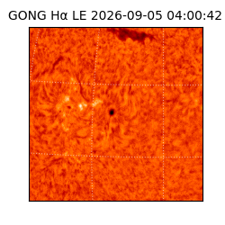 gong - 2026-09-05T04:00:42