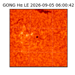 gong - 2026-09-05T06:00:42
