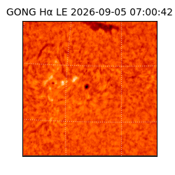 gong - 2026-09-05T07:00:42