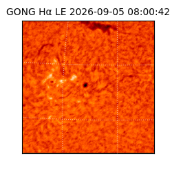 gong - 2026-09-05T08:00:42
