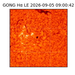 gong - 2026-09-05T09:00:42