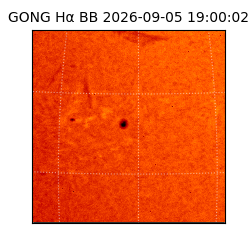 gong - 2026-09-05T19:00:02