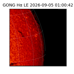 gong - 2026-09-05T01:00:42