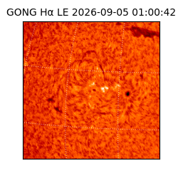 gong - 2026-09-05T01:00:42