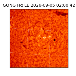 gong - 2026-09-05T02:00:42