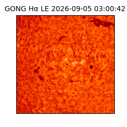 gong - 2026-09-05T03:00:42
