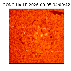 gong - 2026-09-05T04:00:42