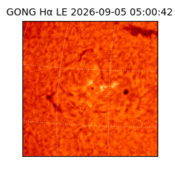 gong - 2026-09-05T05:00:42