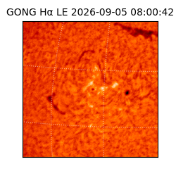 gong - 2026-09-05T08:00:42