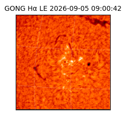 gong - 2026-09-05T09:00:42