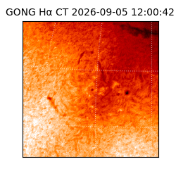 gong - 2026-09-05T12:00:42