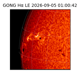 gong - 2026-09-05T01:00:42