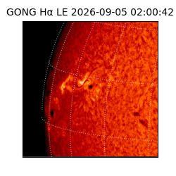 gong - 2026-09-05T02:00:42
