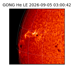 gong - 2026-09-05T03:00:42