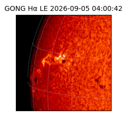 gong - 2026-09-05T04:00:42