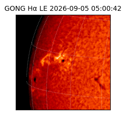 gong - 2026-09-05T05:00:42