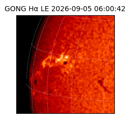 gong - 2026-09-05T06:00:42