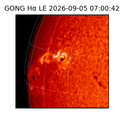 gong - 2026-09-05T07:00:42