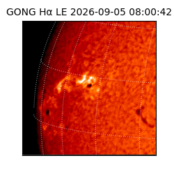 gong - 2026-09-05T08:00:42