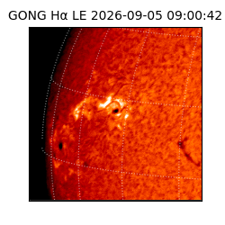gong - 2026-09-05T09:00:42