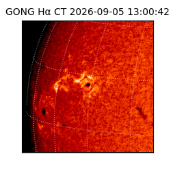 gong - 2026-09-05T13:00:42