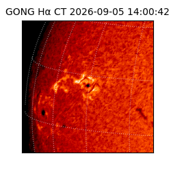 gong - 2026-09-05T14:00:42