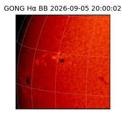 gong - 2026-09-05T20:00:02