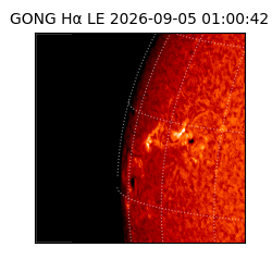 gong - 2026-09-05T01:00:42