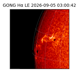 gong - 2026-09-05T03:00:42