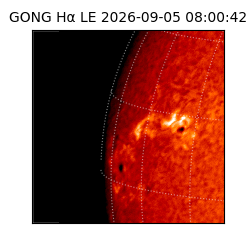 gong - 2026-09-05T08:00:42