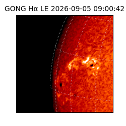 gong - 2026-09-05T09:00:42