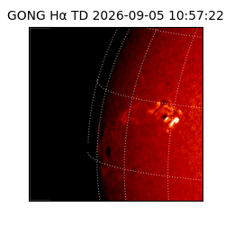 gong - 2026-09-05T10:57:22