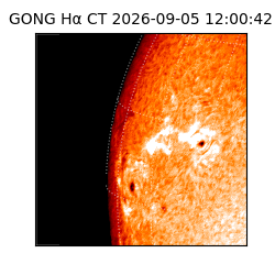 gong - 2026-09-05T12:00:42