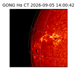 gong - 2026-09-05T14:00:42