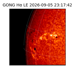 gong - 2026-09-05T23:17:42