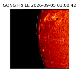 gong - 2026-09-05T01:00:42