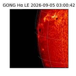 gong - 2026-09-05T03:00:42