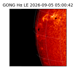 gong - 2026-09-05T05:00:42