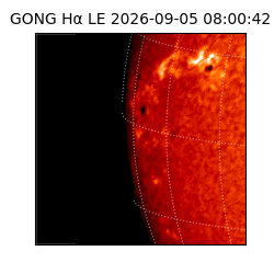 gong - 2026-09-05T08:00:42