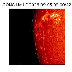 gong - 2026-09-05T09:00:42