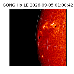 gong - 2026-09-05T01:00:42