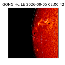 gong - 2026-09-05T02:00:42