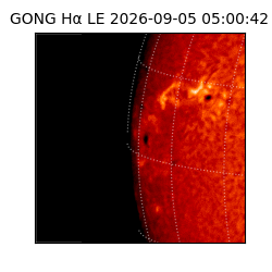 gong - 2026-09-05T05:00:42