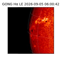 gong - 2026-09-05T06:00:42