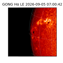 gong - 2026-09-05T07:00:42