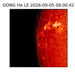 gong - 2026-09-05T08:00:42