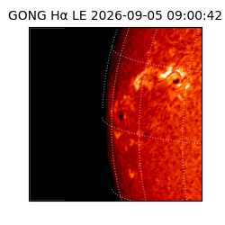 gong - 2026-09-05T09:00:42