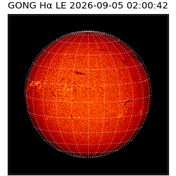 gong - 2026-09-05T02:00:42